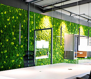 Freund GmbH biophilic design for healthier workplaces, with functionally acoustic moss walls